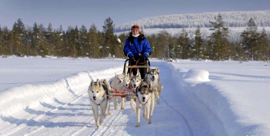 aurora-boreale-in-lapponia-sport-sledding-con-husky