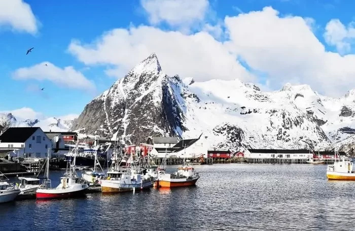 Tour Arctic Lights Narvik e Isole Lofoten
